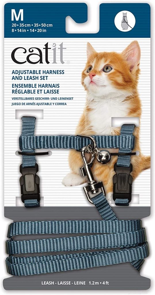 Наш путеводитель по лучшим шлейкам для кошек