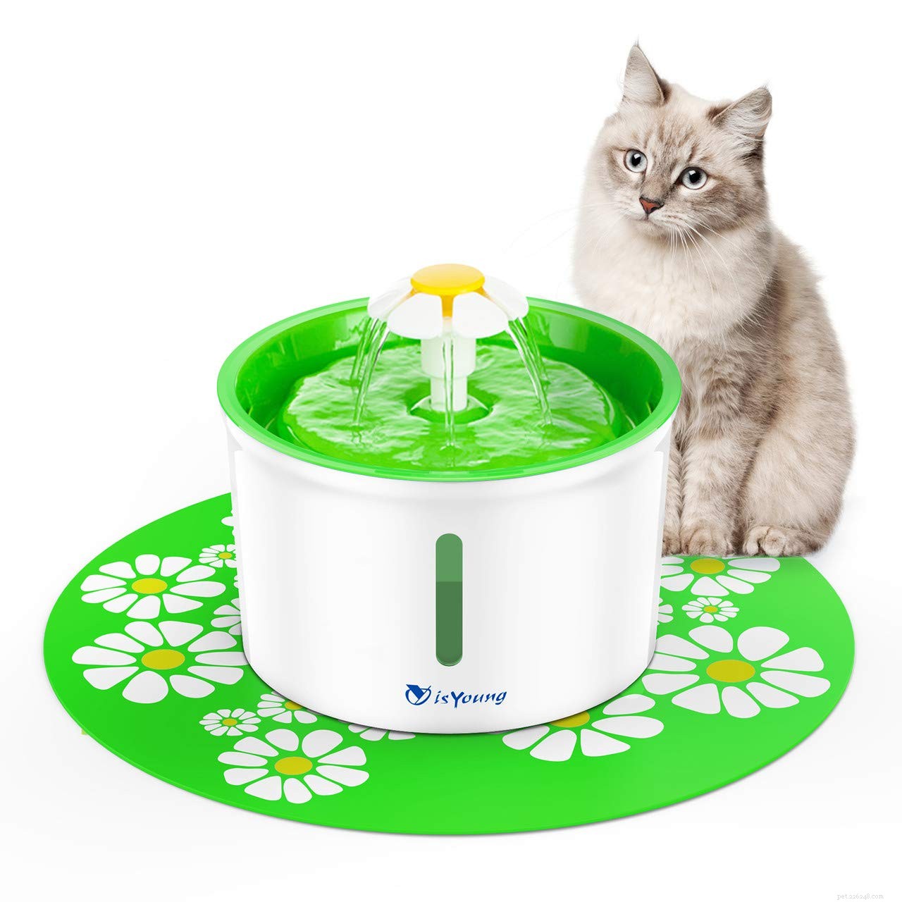 Melhores fontes de água para gatos