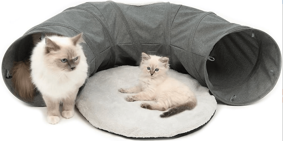 Melhores túneis para gatos