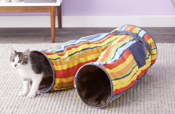 Лучшие туннели для кошек