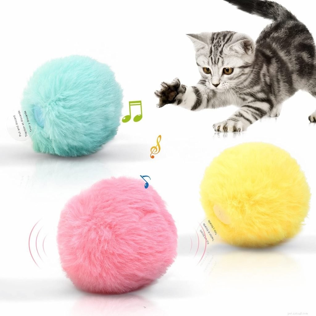 I migliori giocattoli con palline per gatti
