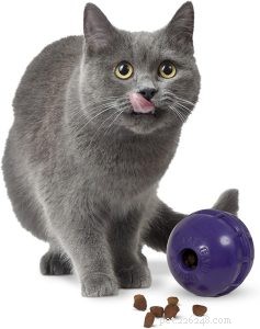 Melhores brinquedos de bola de gato