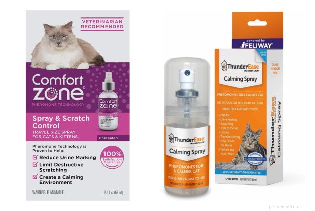 Melhores sprays de feromônio para gatos
