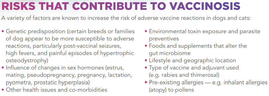 Förstå vaccinos hos hundar och katter