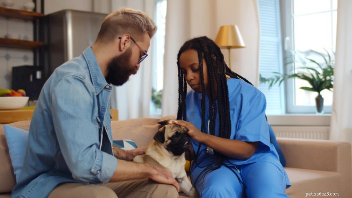 Come gestire lo stato emotivo del tuo cane o gatto elimina lo stress dalle visite dal veterinario