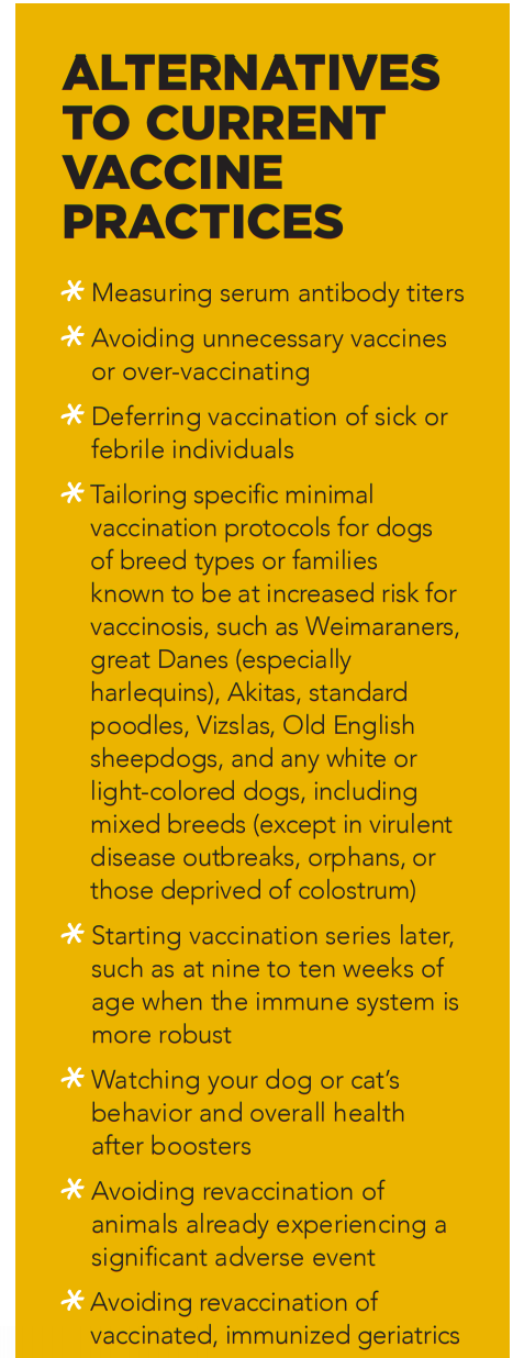 Uw volwassen hond of kat vaccineren:waar u rekening mee moet houden