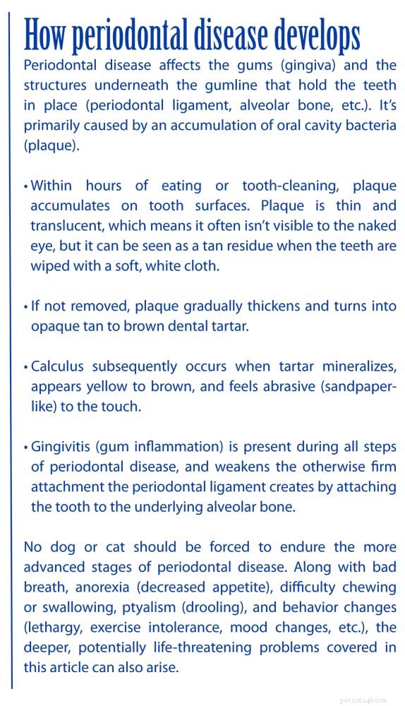 Tandsjukdom kopplad till organproblem