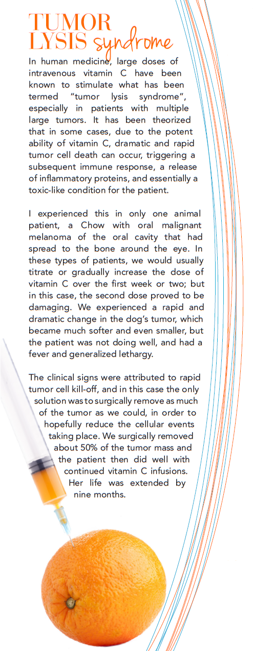 Терапия высокими дозами витамина С для домашних животных – часть 2