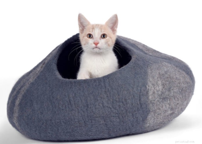 고양이 침대의 새로운 기능은 무엇입니까?