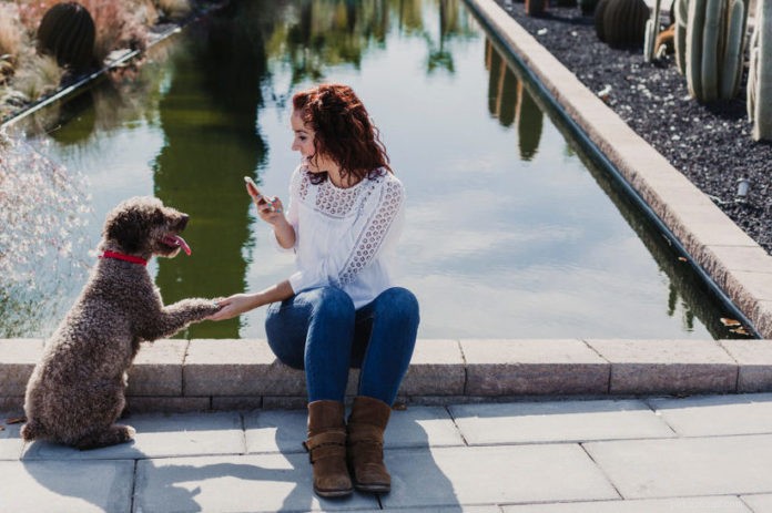 애완동물을 위한 Instagram 계정을 시작하고 유지하는 방법