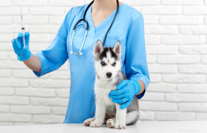 Добавки и адъюванты в вакцинах для животных