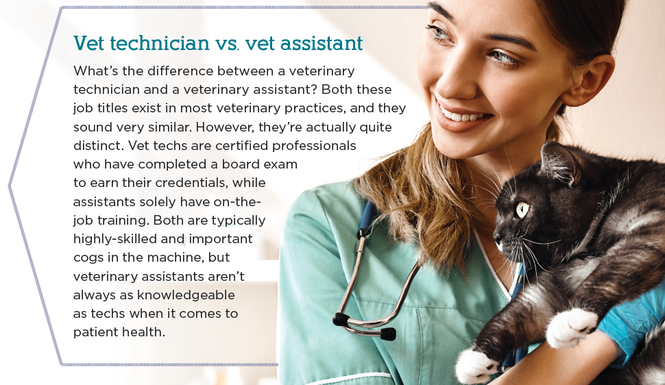 Técnicos veterinários e o que eles fazem
