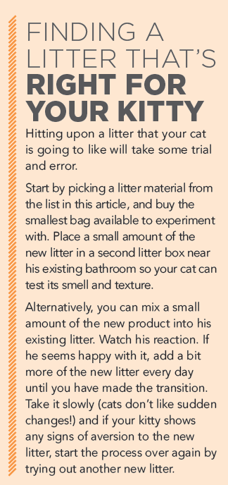 고양이를 위한 쓰레기를 선택하세요!