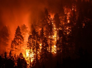 犬と猫のための山火事の準備 