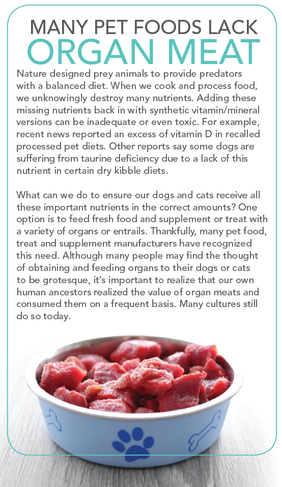 Мясо органов — суперпродукты для собак и кошек