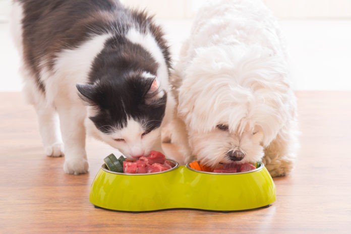 Мясо органов — суперпродукты для собак и кошек