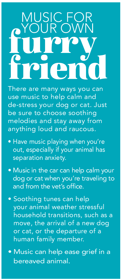 음악은 개와 고양이에게 많은 이점을 제공합니다.