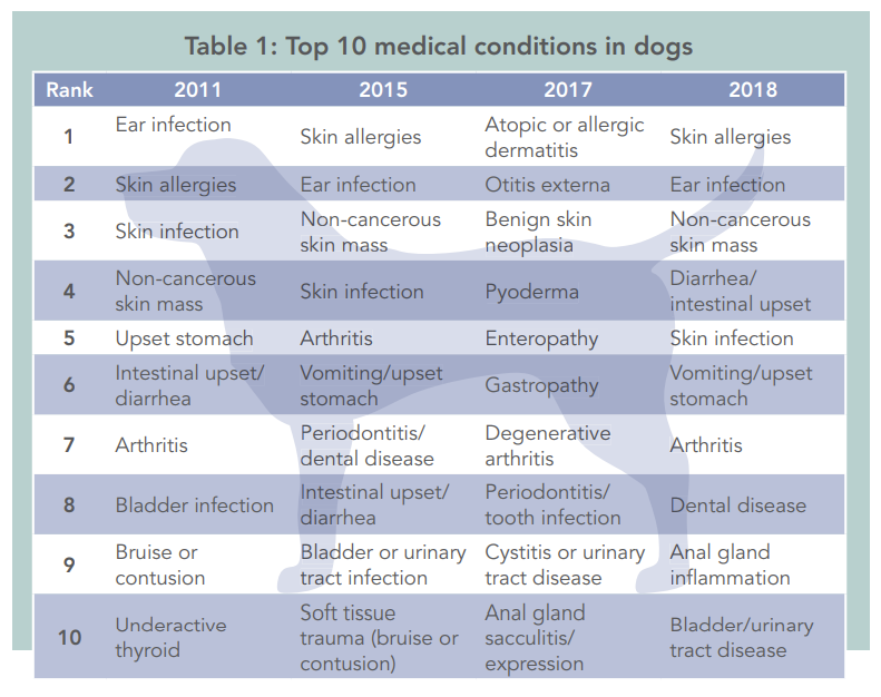 10 meest voorkomende medische aandoeningen bij honden en katten