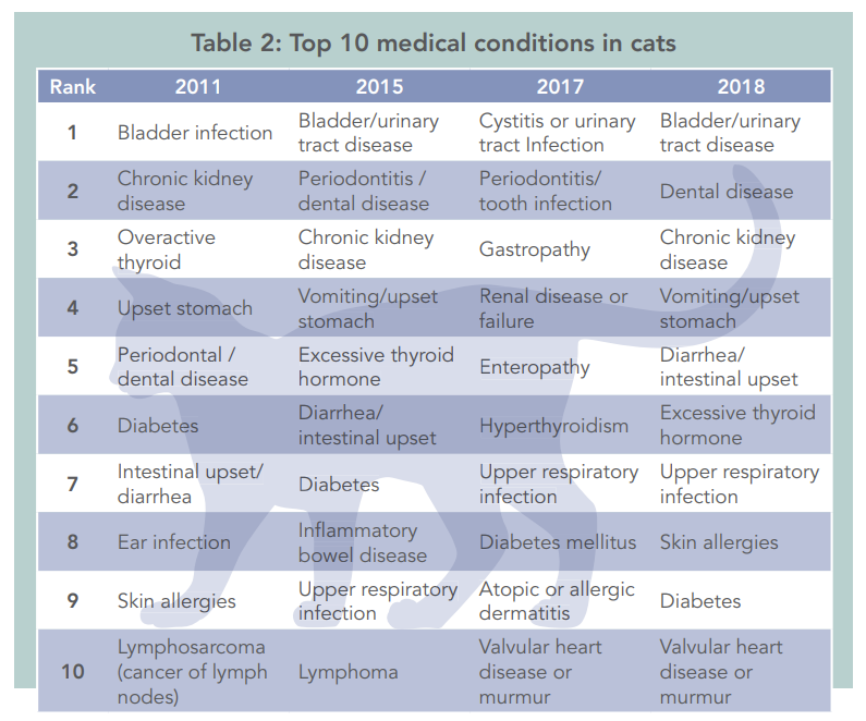 10 nejčastějších zdravotních stavů u psů a koček