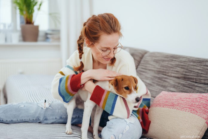 Проверка здоровья вашей собаки или кошки на дому
