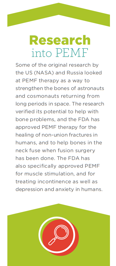 La terapia PEMF è un opzione per il tuo cane o gatto?