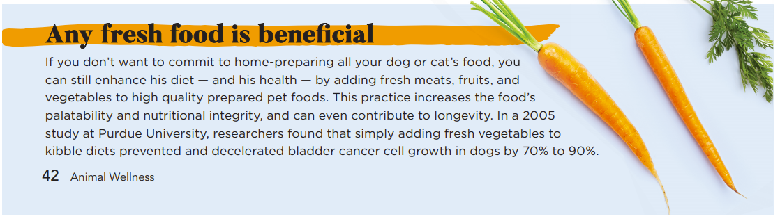 Huisbereiding van voer voor huisdieren - wat u moet weten