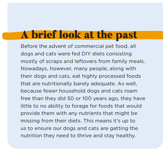 Preparação caseira de alimentos para animais de estimação – o que você precisa saber