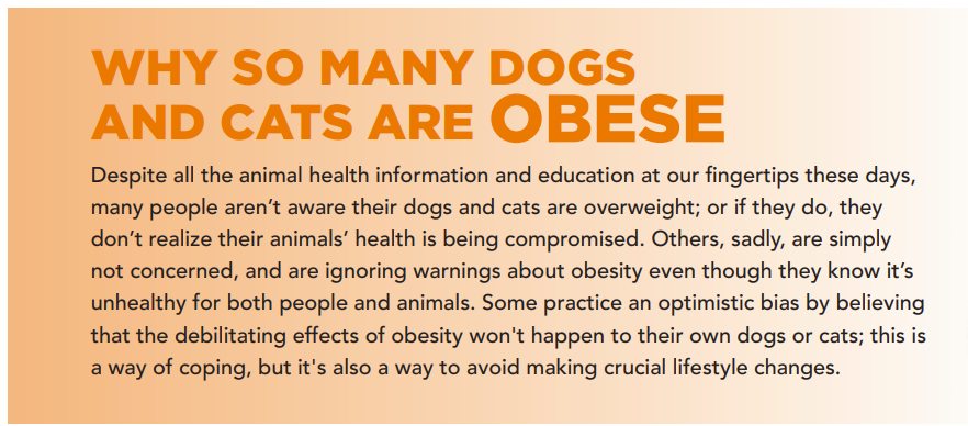 Obesitas bij honden en katten