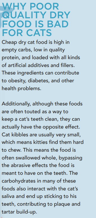 Aliments secs plus sains pour les chats