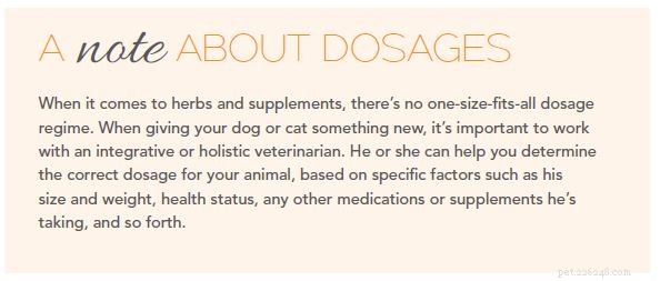 Supporto naturale per l invecchiamento del fegato del tuo cane o gatto