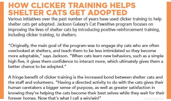 Posso addestrare il mio gatto con il clicker?