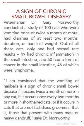 Voorkomen van haarballen bij katten