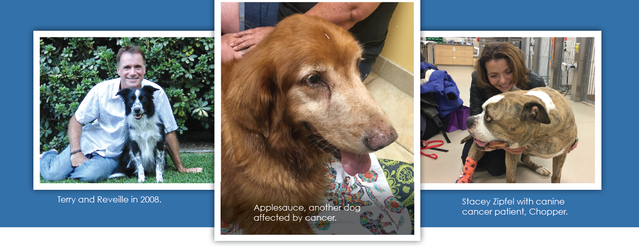 KLAR Canine Cancer