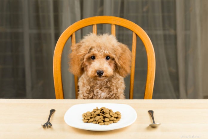 Betygsätt din hunds mat!