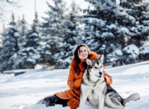 Atividades de inverno ao ar livre para você e seu cão