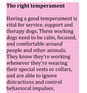 Service-, terapi- och känslomässiga stödhundar