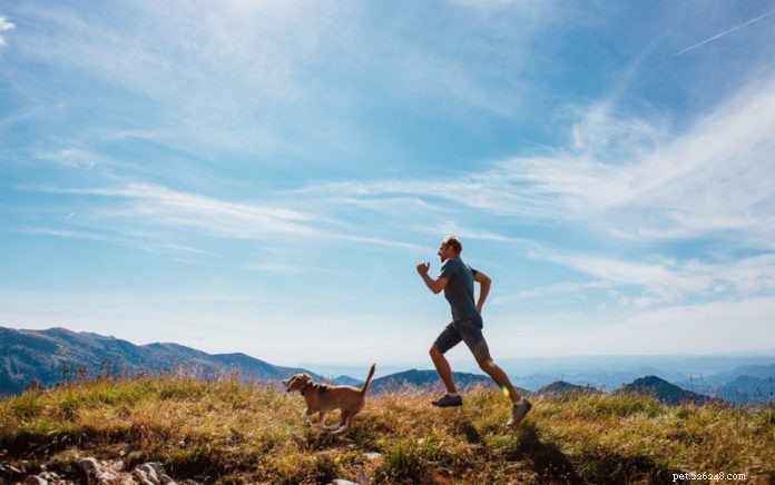 Fietsen en joggen met je hond