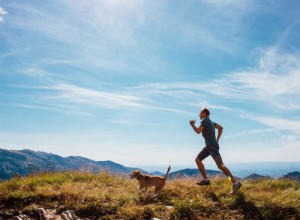 Andar de bicicleta e correr com seu cachorro