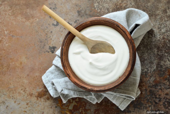 Yoghurt – het is ook goed voor honden en katten!