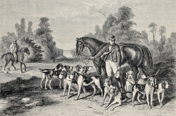 Krátká historie výcviku psů