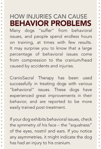 Thérapie crânio-sacrée pour chiens