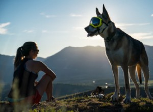 犬のための必需品のアウトドアアドベンチャーギア 