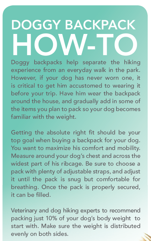 Långdistansvandring med din hund