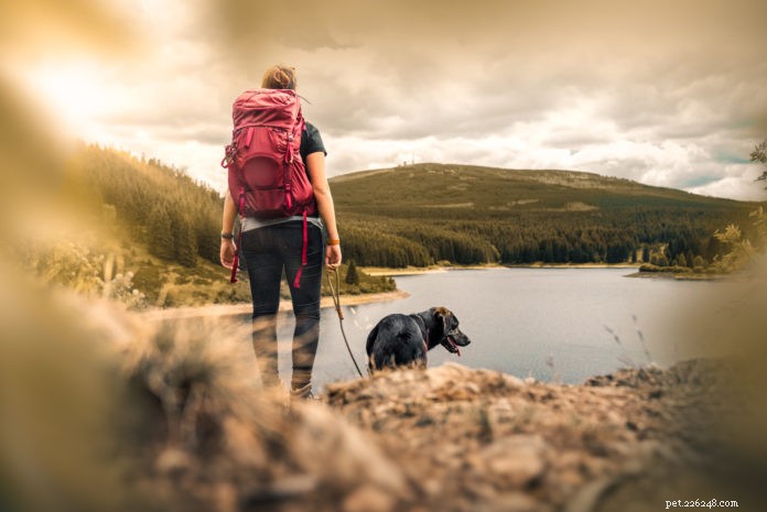 Escursioni a lunga distanza con il tuo cane