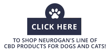 A Neurogan oferece uma dose saudável de qualidade, transparência e hygge para um mercado de CBD complicado