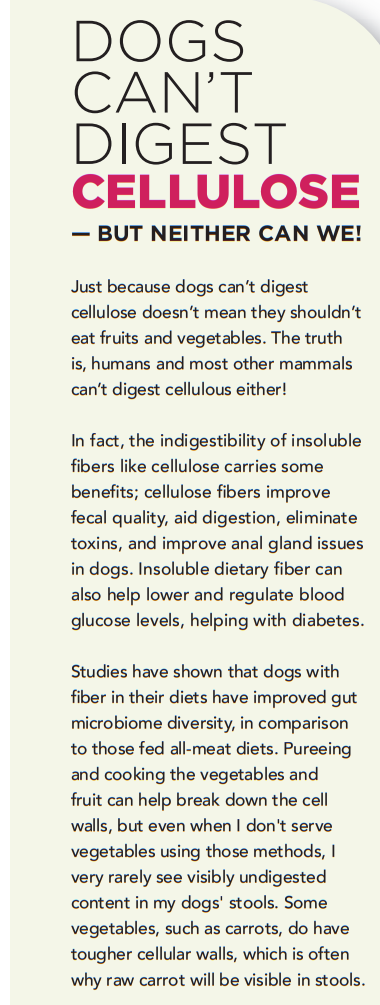 Por que seu cão deve comer frutas e vegetais