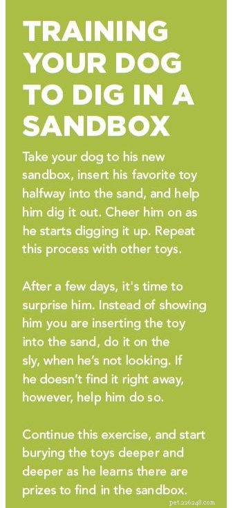 Ваша собака перекапывает ваш двор?