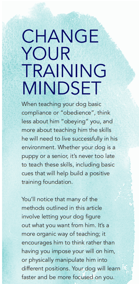あなたの犬を訓練する–それは服従以上のものです 