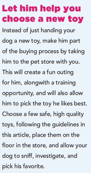 6 consigli di sicurezza per i giocattoli per cani