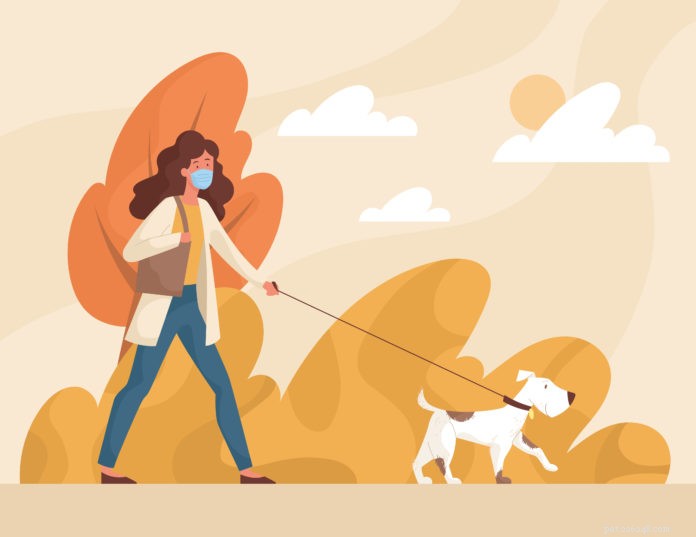 8 sätt att umgås med din nya hund — när du måste ta social distans